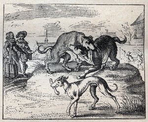 Proverbio inglese antico: due cani lottano per un osso e il terzo lo porta via