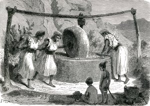 Mulino per macinare olive in Algeria 1885 da Unknown artist