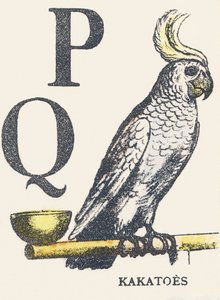 P Q: cacatua da Unknown artist