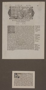 Pagina da 