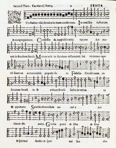 Pagina di spartito musicale di Confitebor tibi domine salmo dedicato a Palestrina di Costanzo Porta da Unknown artist