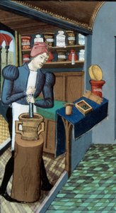Farmacia: un farmacista, la raccolta delle piante e la preparazione dei medicamenti (dettaglio)