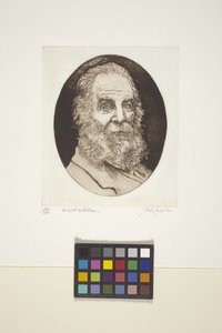 Ritratto di Walt Whitman da Unknown artist