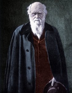 Ritratto di Charles Darwin, naturalista britannico (1809 - 1882)