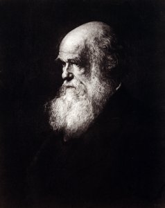 Ritratto di Charles Robert Darwin (1809 - 1882) da Unknown artist
