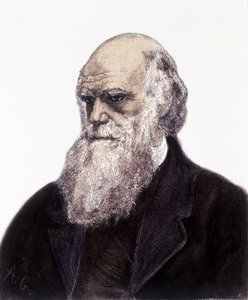Ritratto di Charles Robert Darwin, naturalista britannico (1809-1882) da Unknown artist