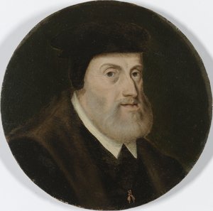 Ritratto di Carlo V, c.1550 (olio su tavola)