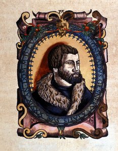 Ritratto di Conrad Gesner (1516 - 1565) medico di Zurigo dopo Historia Animalium di Conrad Gesner, Tiguri 1560. Biblioteca nazionale Braidense. Milano da Unknown artist