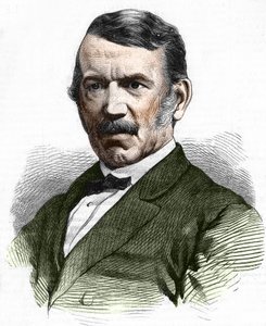 Ritratto di David Livingstone da Unknown artist