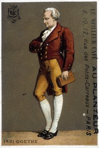 Ritratto di Goethe. Disegno sd. XIX secolo. Ritratto di Goethe in piedi. Disegno sd. XIX secolo