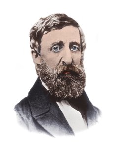 Ritratto di Henry David Thoreau (1817-1862) - saggista, poeta, filosofo, abolizionista, naturalista, critico dello sviluppo, topografo e storico americano da Unknown artist