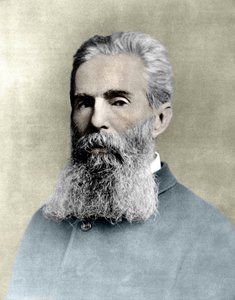 Ritratto di Herman Melville (1819-1891) romanziere americano da Unknown artist