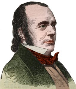 Ritratto di Jean Louis Rodolphe Agassiz, naturalista americano da Unknown artist