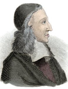 Ritratto di Johan de Witt (Jean de Witt) (1625-1672) politico, economista e matematico olandese