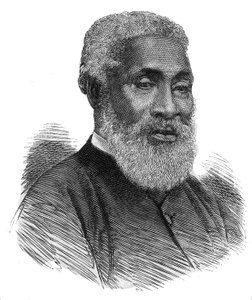 Ritratto di Josiah Henson (1789 - 1883) schiavo nel Maryland fuggito in Canada Superiore nel 1830, nel 1834 fondò la comunità Dawn, vicino a Dresda, per accogliere gli schiavi fuggiti dagli Stati Uniti, fu il modello del personaggio principale del libro "L