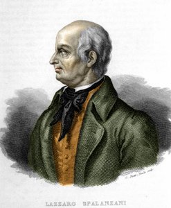 Ritratto di Lazzaro Spallanzani, biologo italiano (1729 - 1799) da Unknown artist