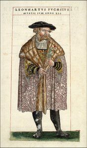Ritratto di Leonhart Fuchs: botanico - medico tedesco (1501 - 1566) - in "De Historia Stirpium commentarii badges,..." di Leonhart Fuchs