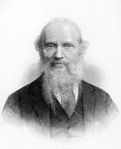 Ritratto di Lord Kelvin (William Thomson) da Unknown artist