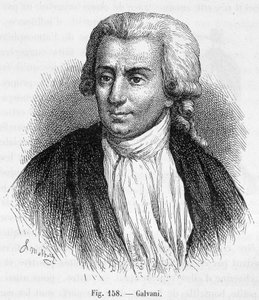 Ritratto di Luigi Galvani, medico e fisico italiano (1737 - 1798) - in "Magnetismo ed Elettricità" di Amédée Guillemin da Unknown artist