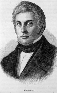 Ritratto di Michel Goudchaux