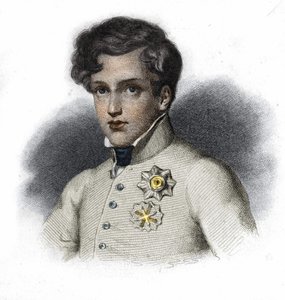 Ritratto di Napoleone II, figlio di Napoleone I, duca di Reichstadt (1811-1832) da Unknown artist
