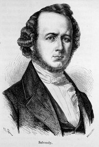 Ritratto di Narcisse Achille, Conte di Salvandy, politico francese (1795 - 1856)