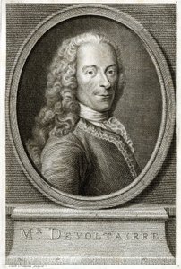 Ritratto di Voltaire. Incisione del XIX secolo