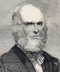 Ritratto di William Cullen Bryant (1794-1878), poeta americano. Incisione in "The Illustrated London News" del 23 gennaio 1858. da Unknown artist