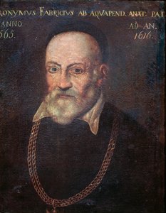 Ritratto del pioniere anatomista e chirurgo Hieronymus Fabricius da Unknown artist
