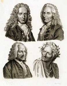 Ritratti di Voltaire a diverse età - incisione