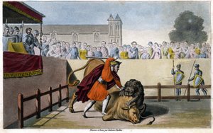 Pipino il Breve uccide un leone che combatte un toro - incisione da Unknown artist