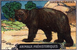 Animale preistorico: un orso delle caverne. da Unknown Artist