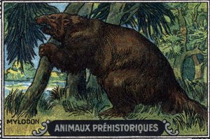 Animale preistorico: un mylodon. da Unknown Artist