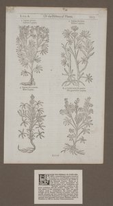 Pagina stampata 1217 da 