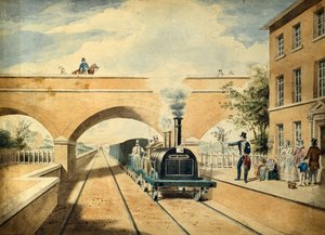 Cervo rosso, circa 1850 da Unknown artist