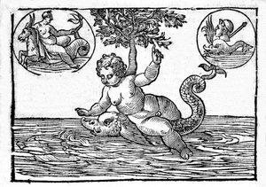 Rappresentazione di Ino, dio del mare, e suo figlio Palemone. Incisione da "Mythologiae sive explicationes fabularum" di Natalis Comitis da Unknown artist
