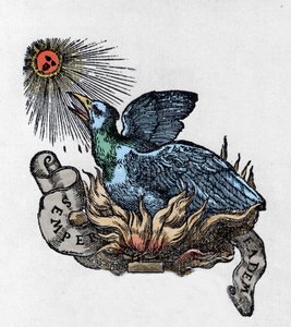 Rappresentazione di una Fenice, uccello leggendario, che rinasce dalle sue ceneri. Incisione del XIX secolo da Unknown artist