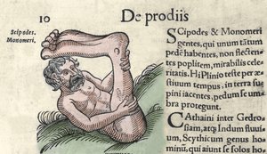 Rappresentazione di un mostro Sciapode. Incisione da 