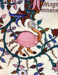 Rappresentazione di un mostro con corpo di struzzo e testa umana. Miniatura di un manoscritto del XIV secolo. Milano, Biblioteca Nazionale Braidense da Unknown artist