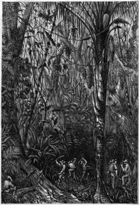 Sviluppo stradale in America Centrale: La perforazione della strada nicaraguense attraverso una foresta vergine (deforestazione). Disegno del tenente Olivier, membro della spedizione del capitano Bedford Pim. Incisione in "L