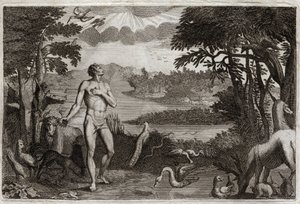 Bibbia di Royaumont, Antico Testamento: Creazione dell