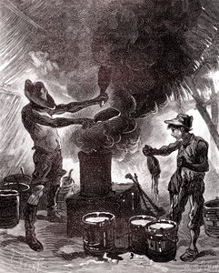 Preparazione della gomma o vulcanizzazione nella foresta brasiliana da Unknown artist