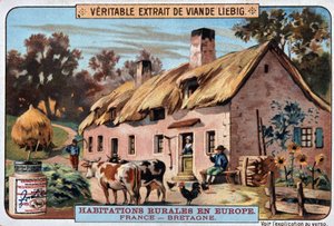 Abitazioni rurali della Bretagna - cromolitografia. Liebig, ca. 1895