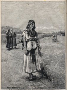 Ruth che lavora nel campo di Boaz - incisione dal dipinto di Druch-hajos