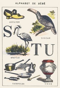 S T U: scarpa, spatola, tucano, utensili, urna da Unknown artist