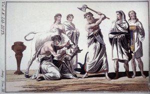 Sacrificio di un toro. Usanza nell