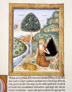 San Girolamo - miniatura da Unknown artist