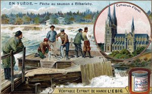 Pesca al salmone a Elfkarleby, Svezia. Cromolitografia, immagine Liebig da Unknown artist