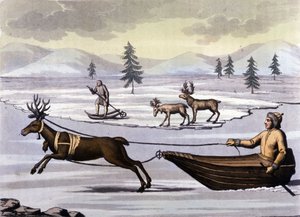 Popolo Sami: indigeni che vivono nelle terre dei paesi nordici (Norvegia, Finlandia, Svezia e Russia) si spostano con slitte trainate da renne o con sci. Incisione del XIX secolo da Unknown artist