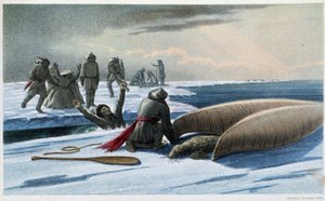 Caccia alla foca: "Seal hunting in the gulf" - in "Exploration of the Labrador Peninsula" di Hind, Londra da Unknown artist